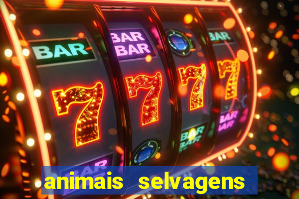 animais selvagens fotos e nomes